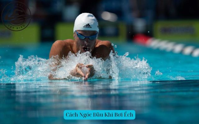 Cách Ngóc Đầu Khi Bơi Ếch