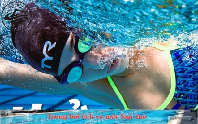 Trong bơi ếch có mấy loại thở
