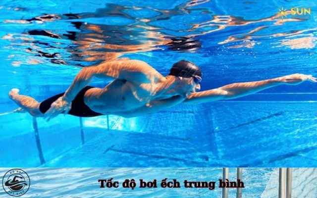 Tốc độ bơi ếch trung bình